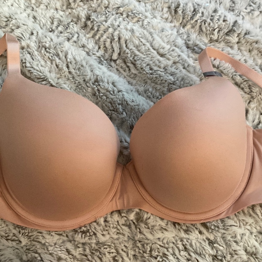 Aerie Demi push up